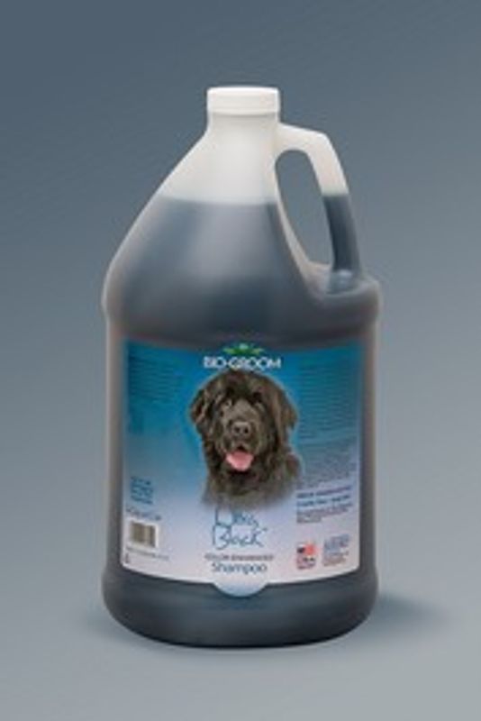 Bio Groom Ultra Black Shampoo
