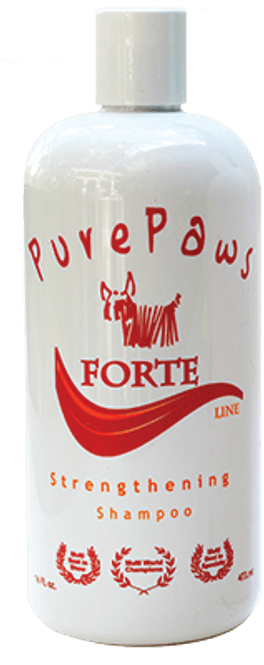Hovedbilde Forte Shampoo