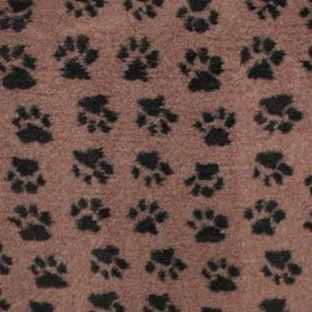 Vetbed brun – svarte poter