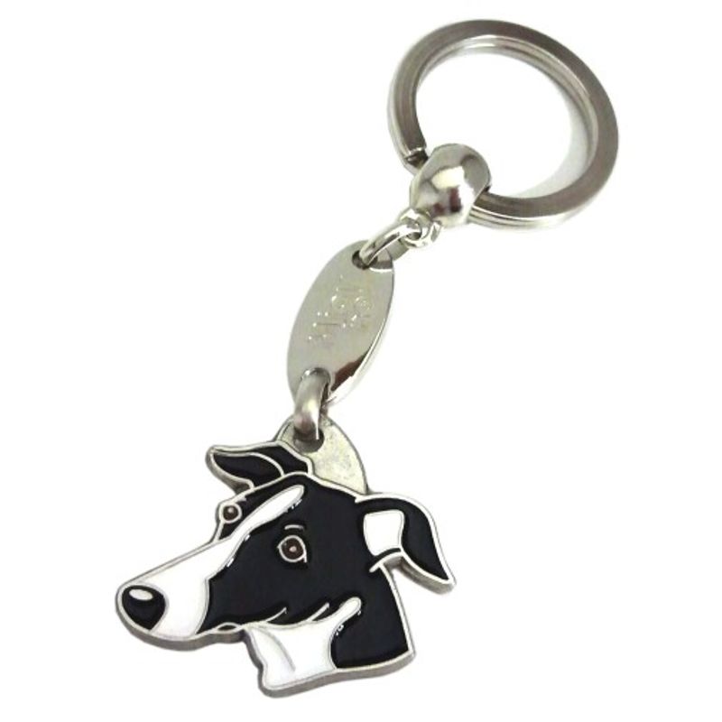 Whippet