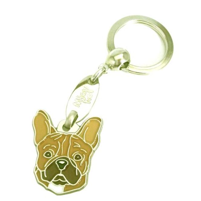 Hovedbilde Fransk bulldog