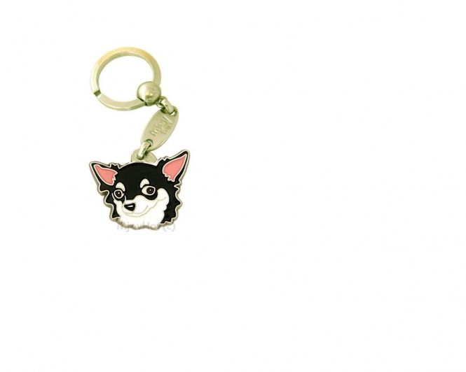 Hovedbilde Chihuahua langhår