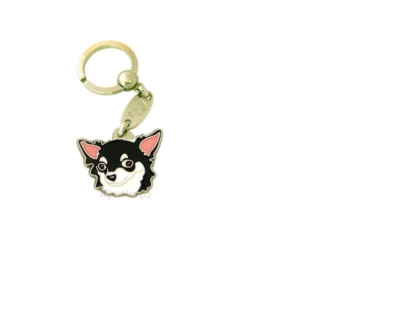 Chihuahua langhår