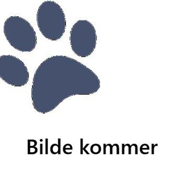 Hovedbilde Botaniqa Tangle Free Spray ...