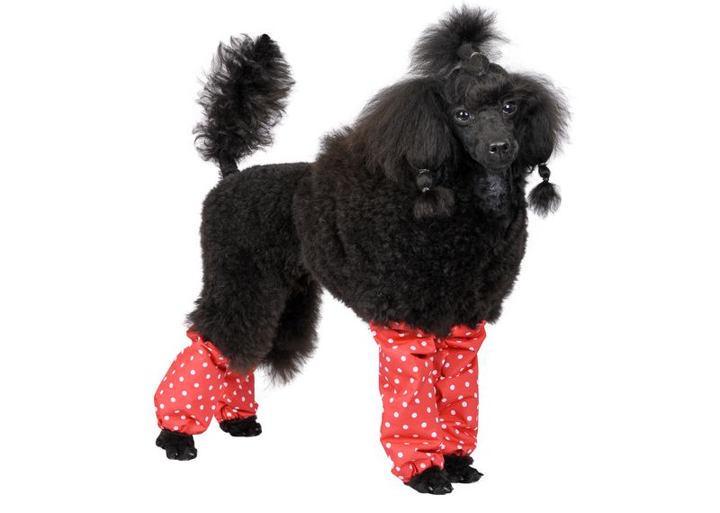 Leggings, polkadottmønster - miniatyr